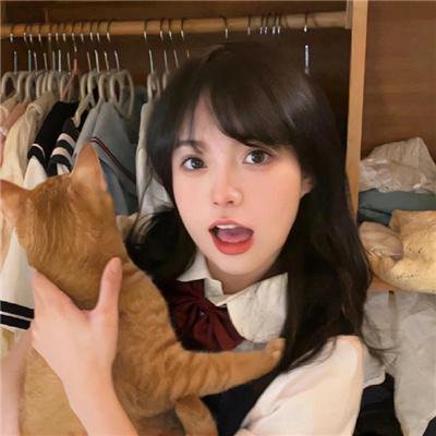 怪盗山猫海报
